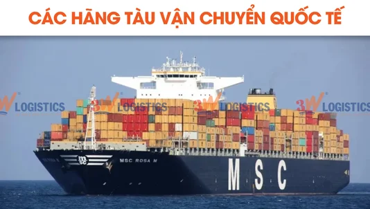 hãng tàu vận chuyển quốc tế