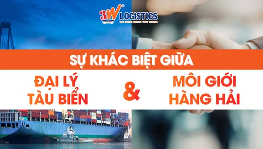 Đại lý hãng tàu biển là gì? Có gì khác với môi giới hàng hải?
