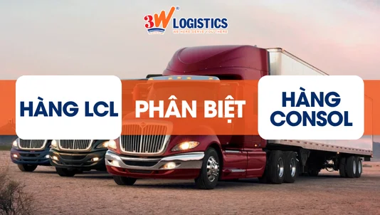 LCL và Consol là gì? Cách phân biệt để tránh nhầm lẫn