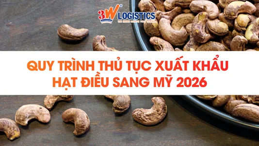 Quy trình thủ tục xuất khẩu hạt điều sang Mỹ 2026