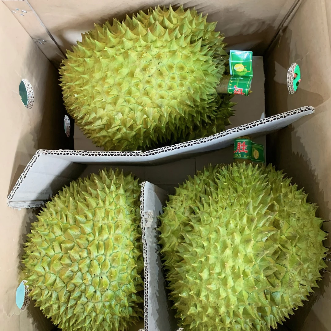 Procedures for export durian to China