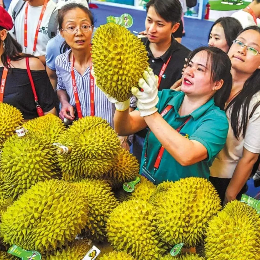 Durian Export Procedures to China 03