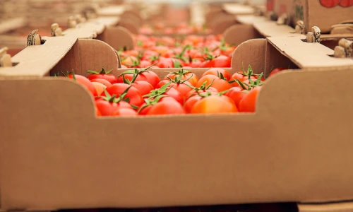 Thực phẩm vận tải đường hàng không