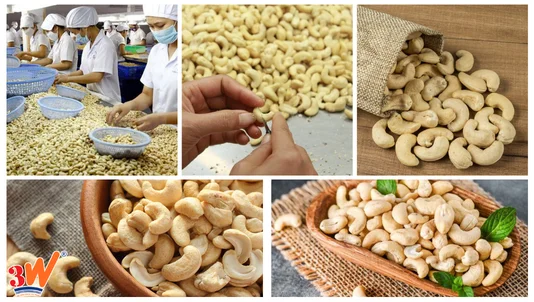 Xuất khẩu hạt điều đi Mỹ