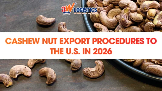 Complete Cashew Nut Export Procedures to the U.S in 2026