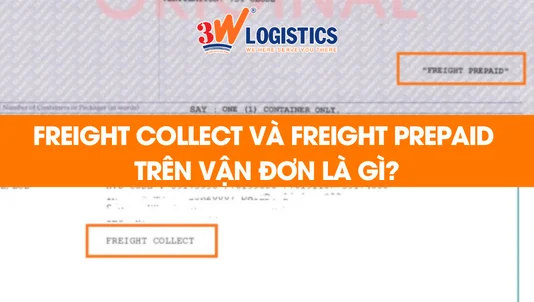 Freight Collect và Freight Prepaid trên vận đơn là gì
