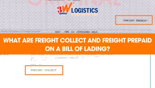 What are Freight Collect and Freight Prepaid on a bill of lading