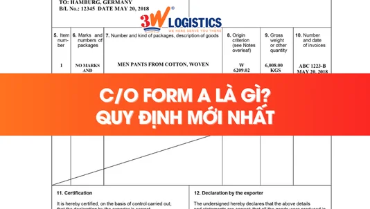 C/O Form A là gì? Thủ tục đầy đủ cho doanh nghiệp xuất khẩu
