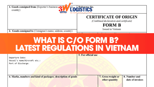 What Is C/O Form B? Latest Procedures in Vietnam for Export Businesses