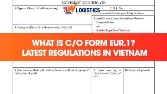 What is C/O Form EUR.1? Regulations and Declaration Guide