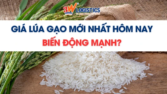 Giá lúa gạo mới nhất hôm nay