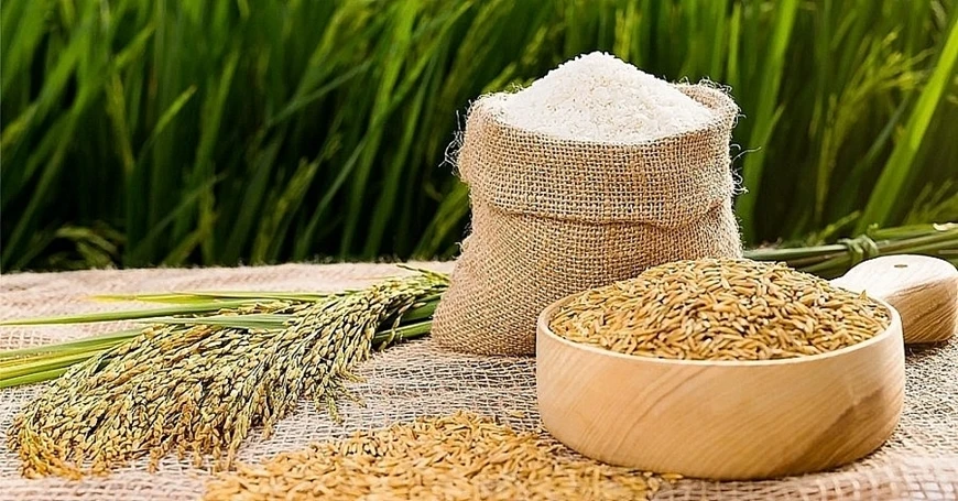 Giá lúa gạo mới nhất hôm nay