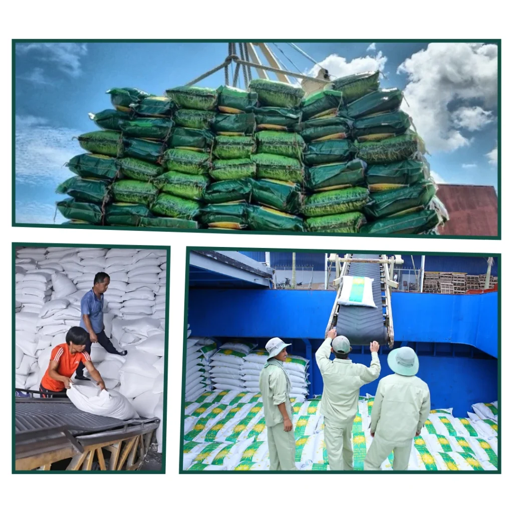 The latest procedures for exporting rice.