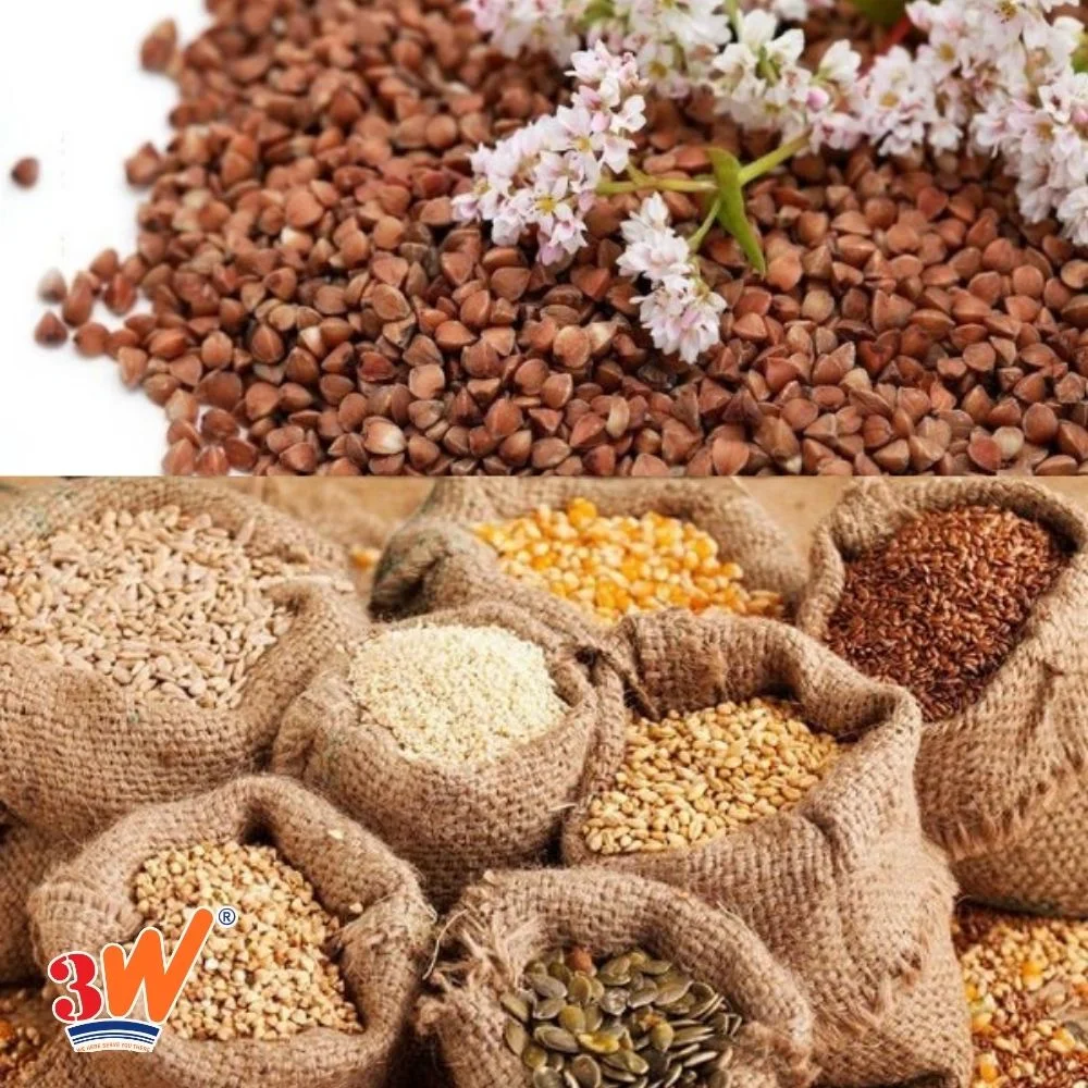 Quy trình thủ tục xuất khẩu hạt giống