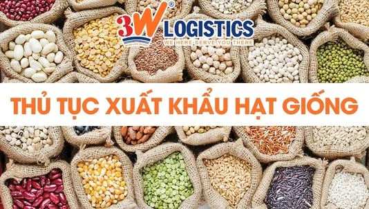 Thủ tục xuất khẩu hạt giống