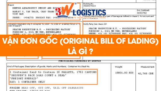 vận đơn gốc (Bill of Lading) là gì