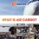 What is air cargo? Costs, Process & Key Air Freight Insights
