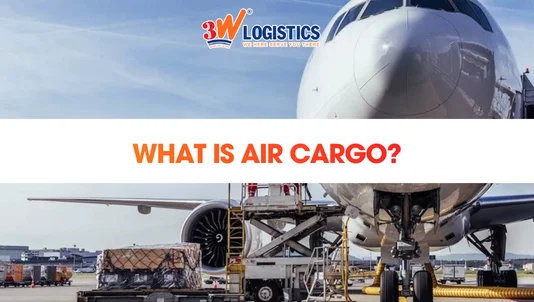 What is air cargo? Costs, Process & Key Air Freight Insights