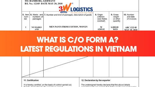 What Is C/O Form A? Latest Procedures in Vietnam for Export Businesses