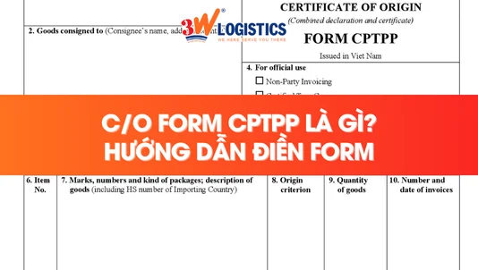 CO Form CPTPP là gì? Hướng dẫn điền CO Form CPTPP chi tiết