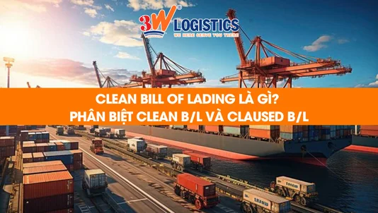 Clean Bill of Lading là gì Phân biệt Clean BL và Claused BL