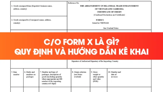 CO Form X là gì? Quy định mới nhất và hướng dẫn kê khai