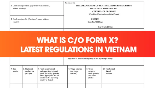 What Is CO Form X? Vietnam Regulations and Application Process