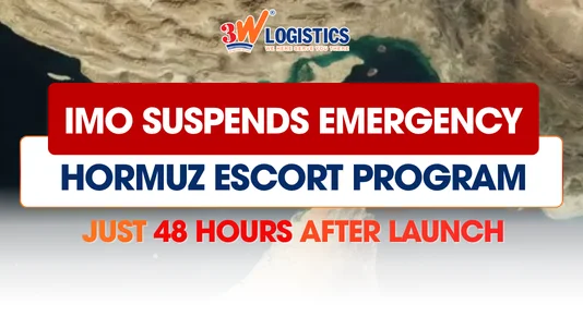 IMO Pauses Evacuation Following Hormuz Incident