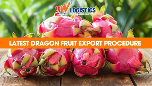 dragon fruit export proceduce