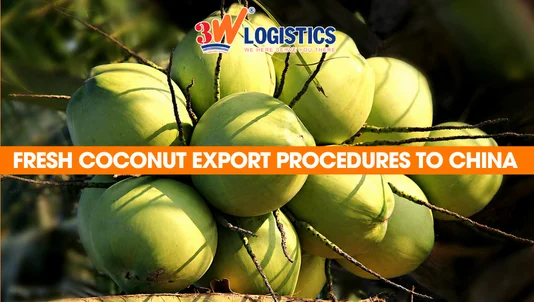 Fresh Coconut Export Procedures to China