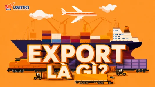 Export là gì? Bản chất, vai trò và quy trình từ A-Z