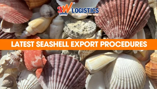 Seashell export procedures