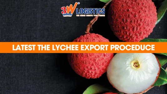 lychee export proceduce