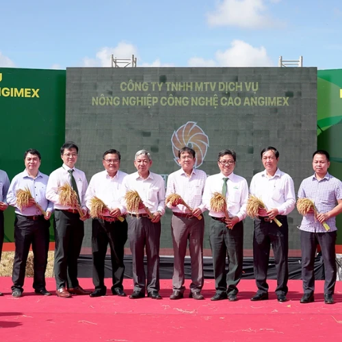 Công ty xuất khẩu gạo 11