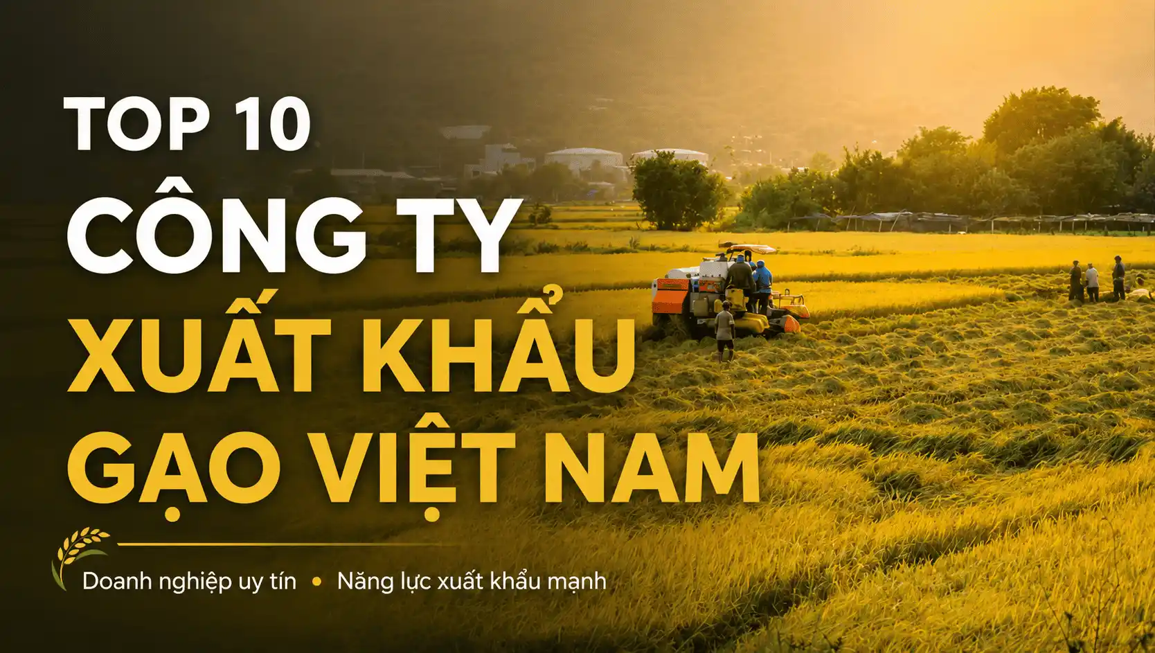 Công ty xuất khẩu gạo