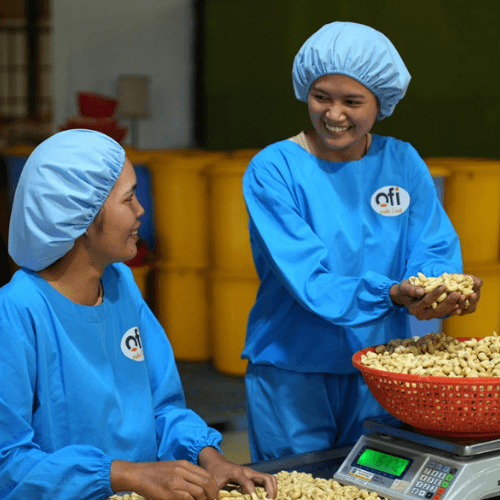 Công ty xuất khẩu hạt điều 01
