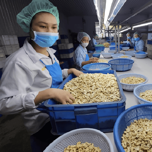 Công ty xuất khẩu hạt điều 04