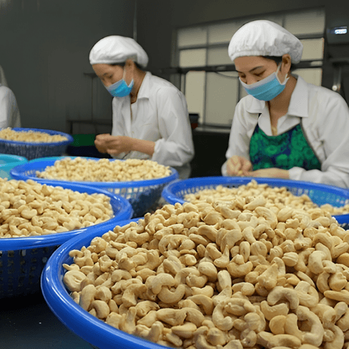 Công ty xuất khẩu hạt điều 11