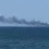 Golden Leo Cargo Ship Attack Leaves 10 Crew Members Dead Near Odesa