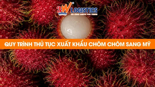 quy trình thủ tục xuất khẩu chôm chôm sang mỹ