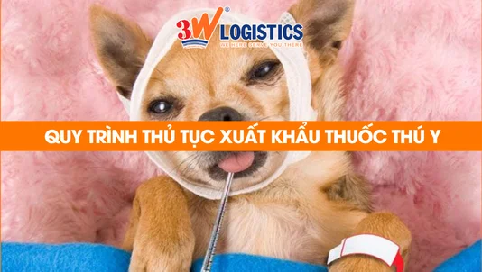 quy trình thủ tục xuất khẩu thuốc thú y