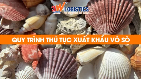 quy trình thủ tục xuất khẩu vỏ sò