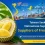 Taiwan Seeks Vietnamese Suppliers of Fresh Durian
