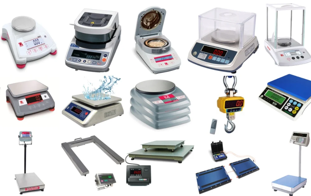 electronic scale import procedure