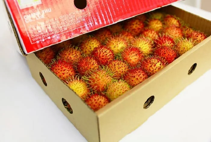 rambutan export procedure to the U.S.