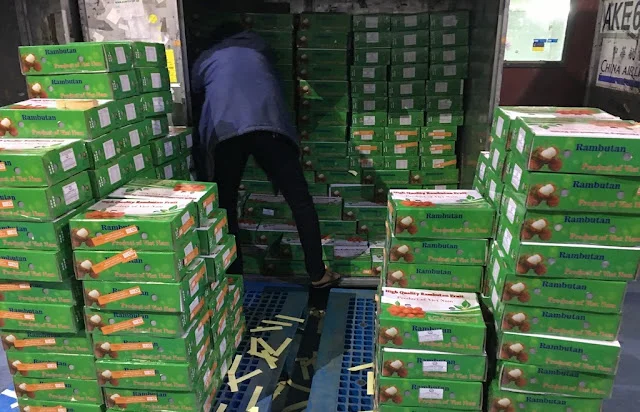 rambutan export procedure to the U.S.