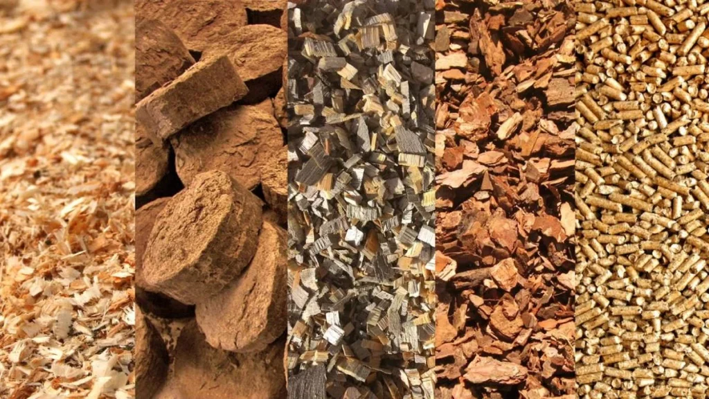 wood chips export procedure
