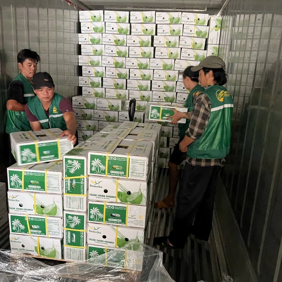 thủ tục xuất khẩu dừa tươi sang trung quốc