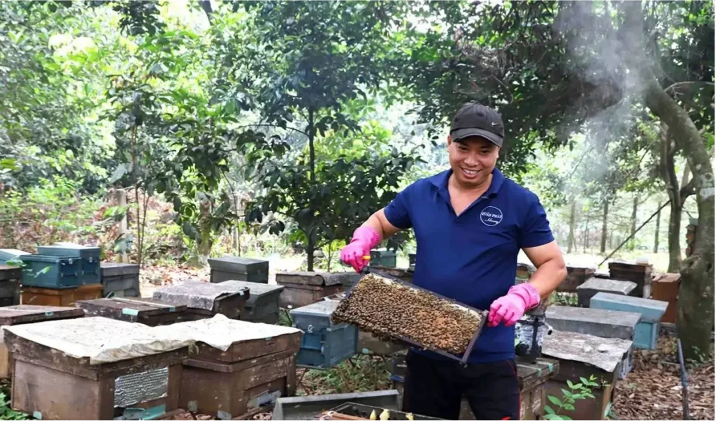 thủ tục xuất khẩu mật ong