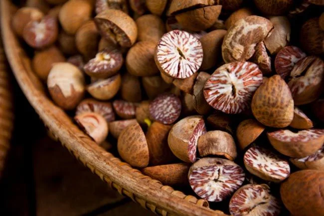 dried areca nut export procedure
